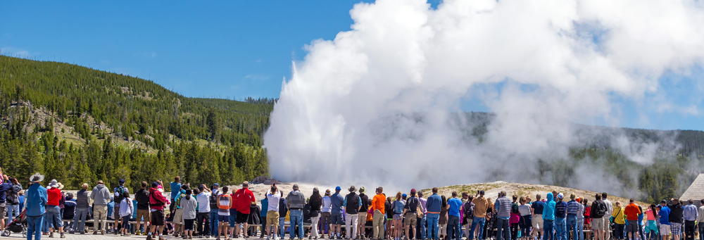 Just Call Us Old Faithful