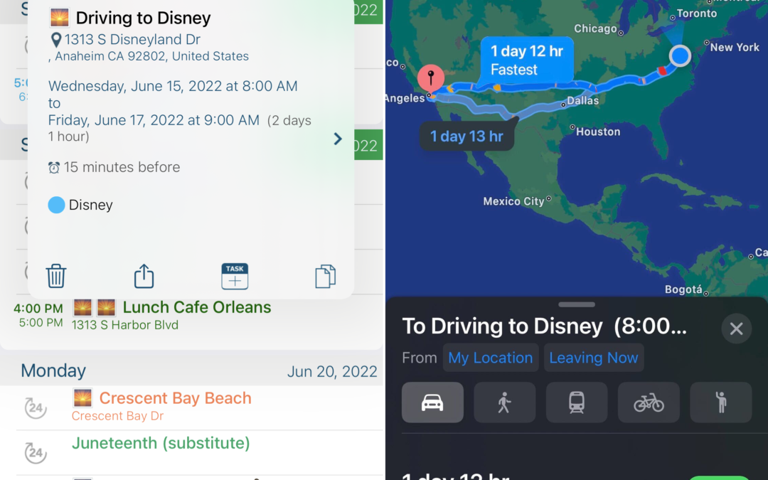 Make the MOUSE of your Disneyland vacation with Informant.
