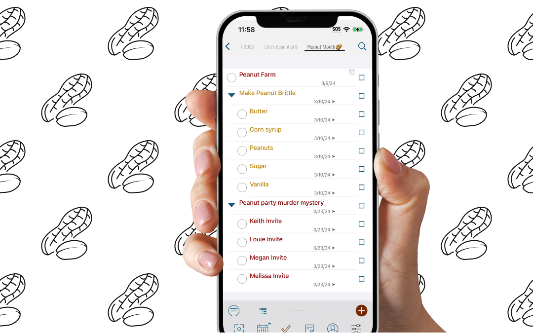 🥜We’re NUTS about Pocket Informant🥜