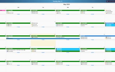 🖥️ Pocket Informant on the Web: Plan Better, Anywhere, Anytime